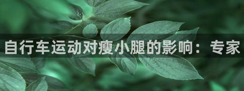 尊龙凯时app官方网站